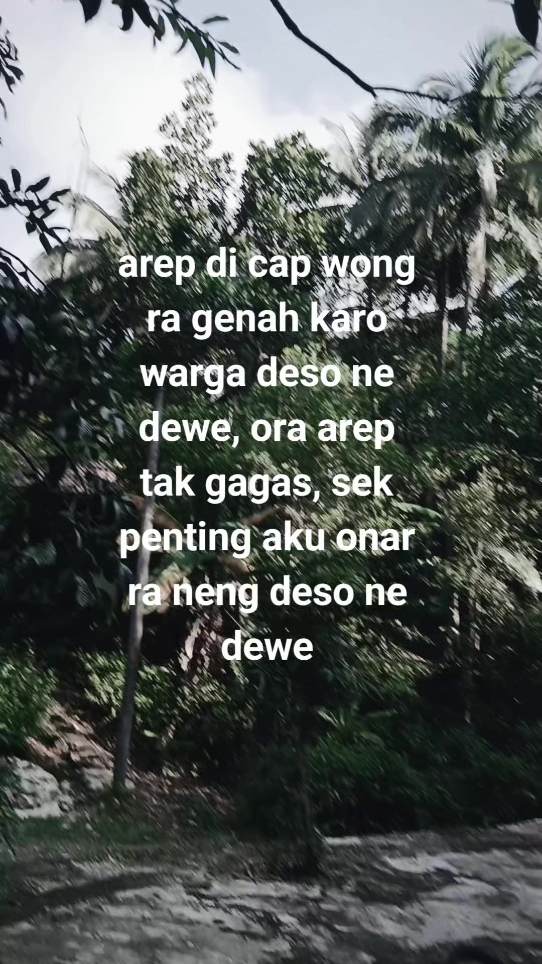 @𝙯𝙖𝙣𝙨