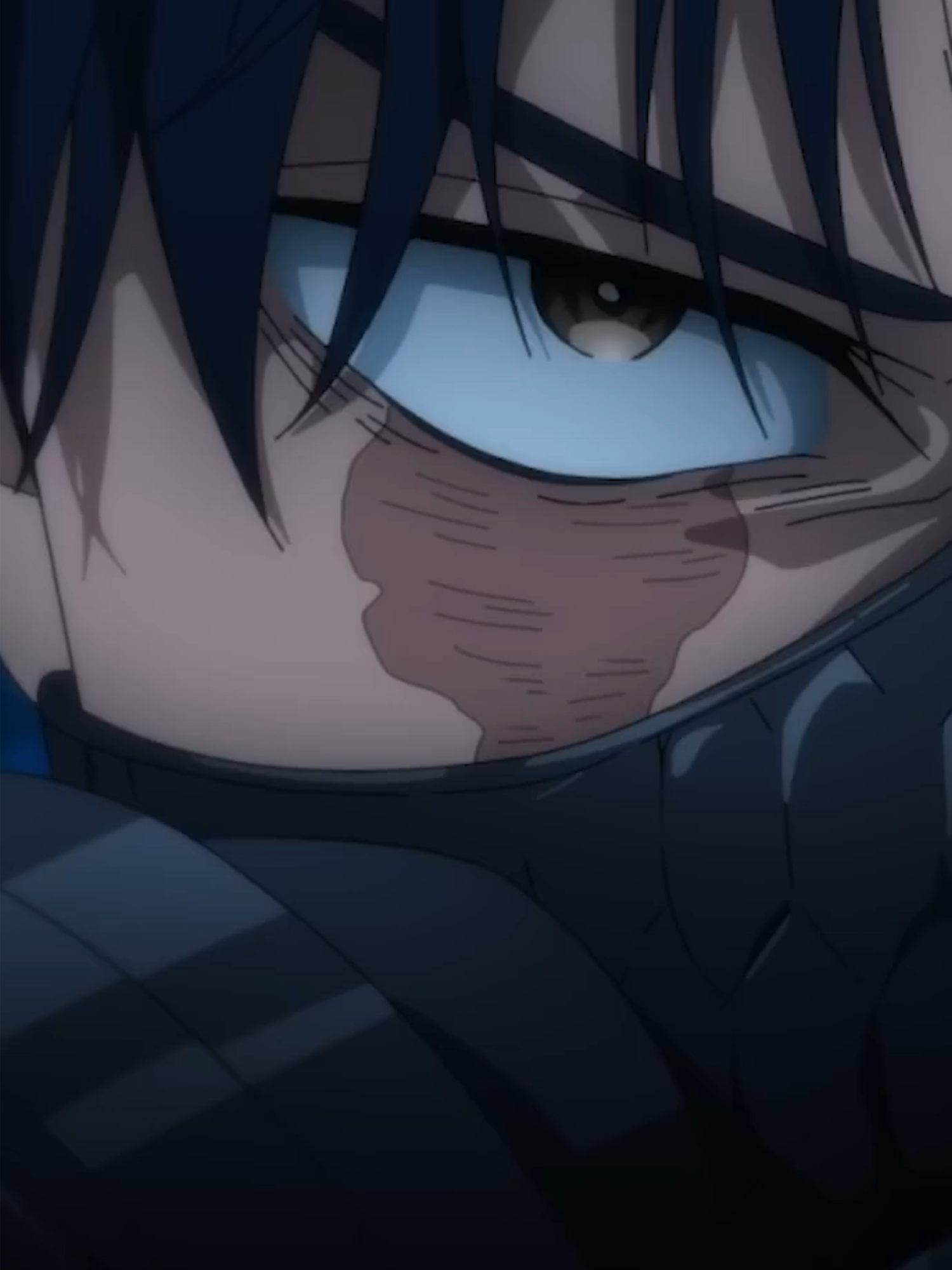 @Sector Anime