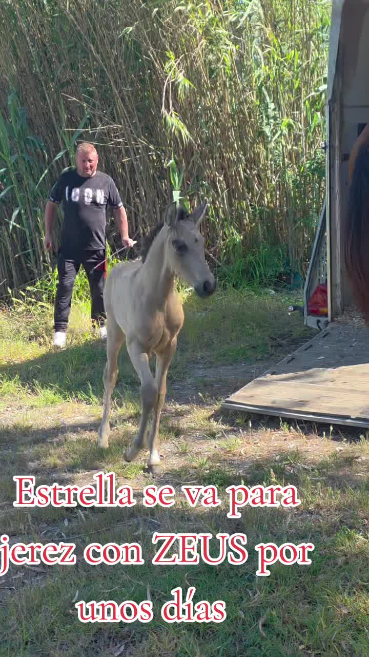 @@rinconlatino