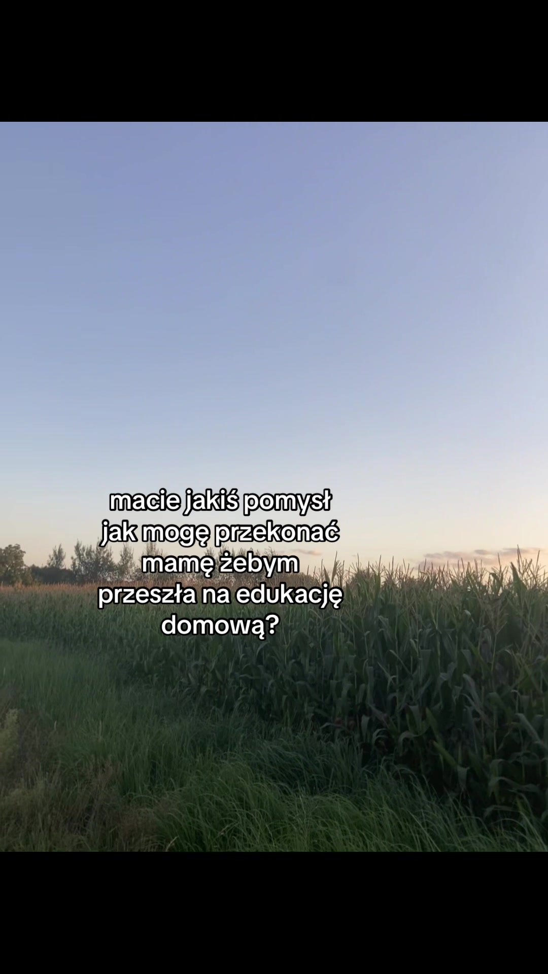 @edukacja.domowaaqq