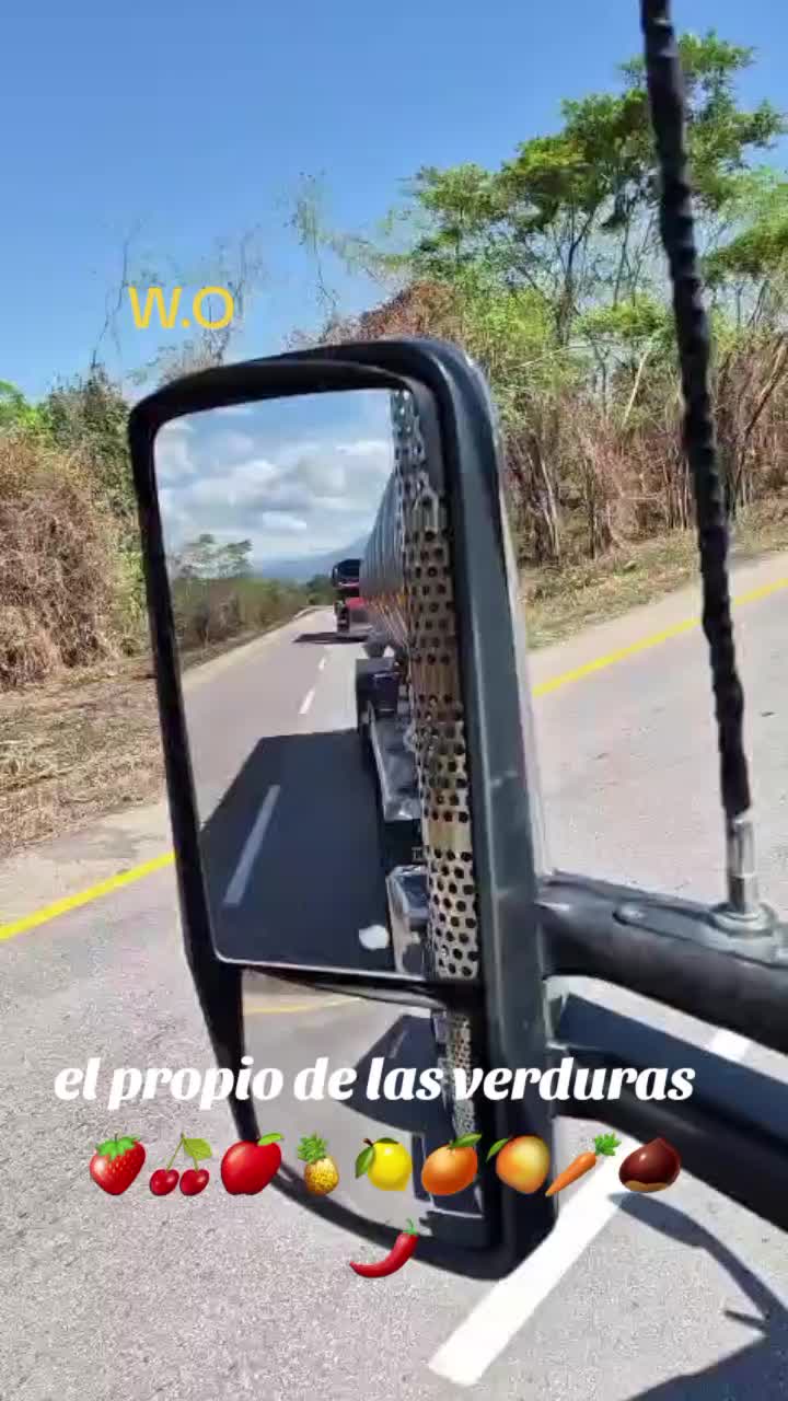 @el taya