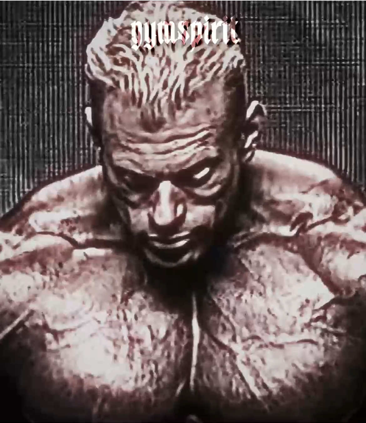 @gymspirit.og