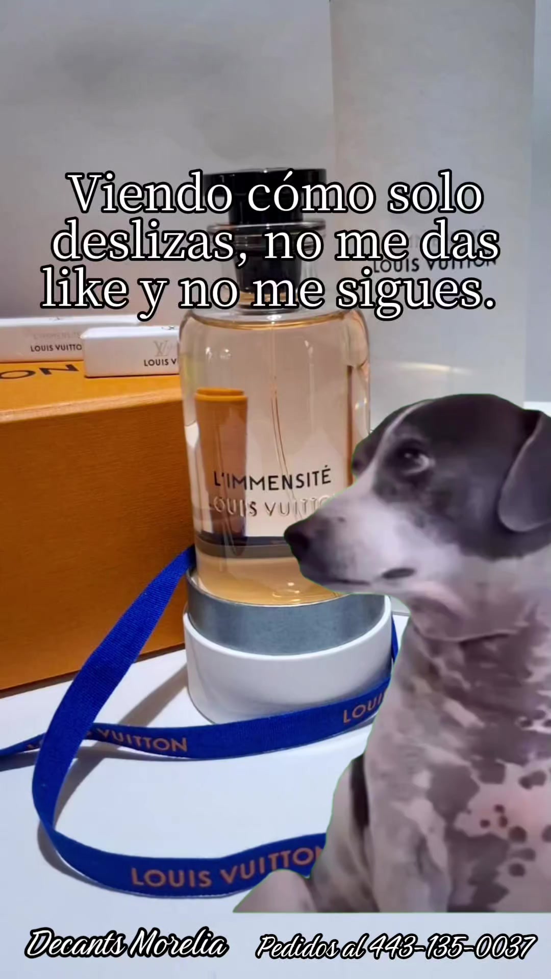 @May Carranza