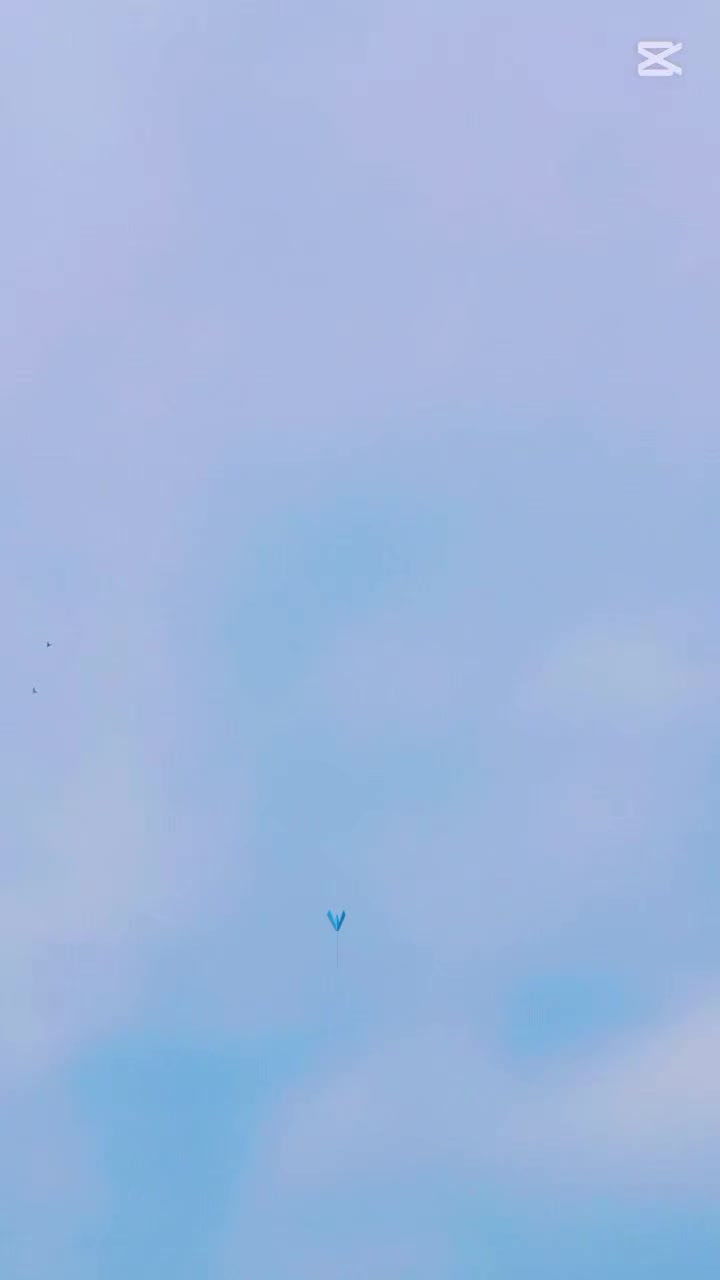 @آپنا شوق کبو تر باز ى