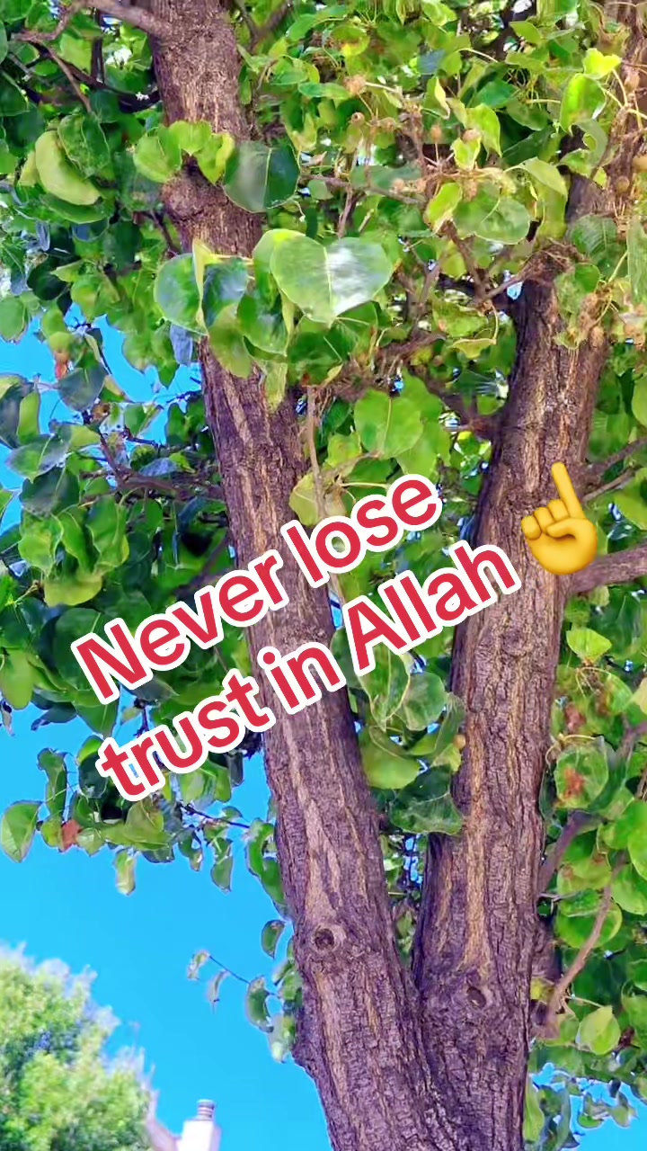 @rizwan_ali093
