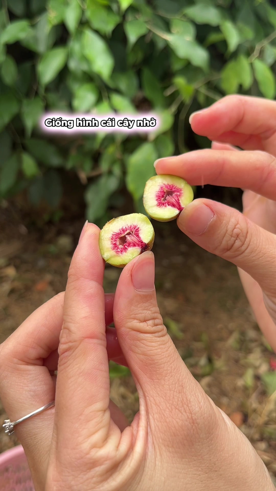 @ThaoJi