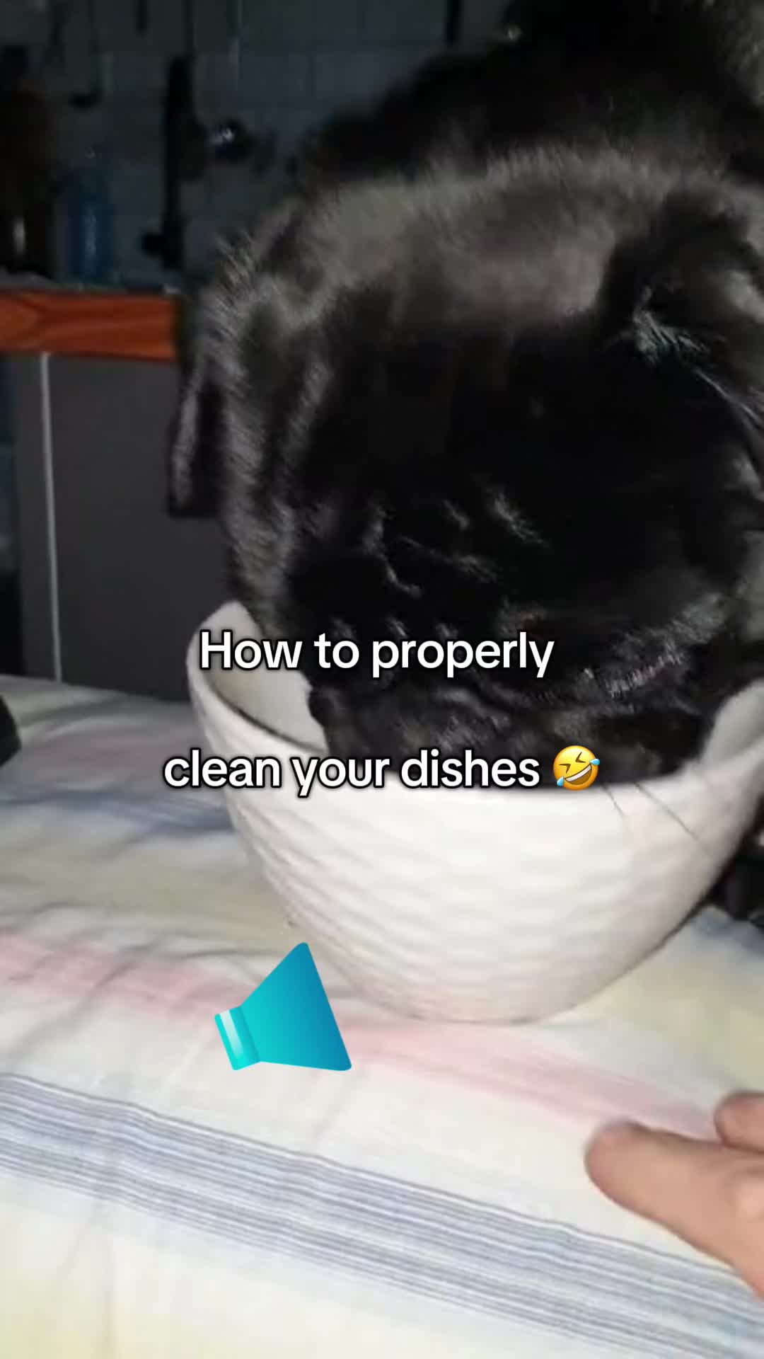 @Mr Shadow