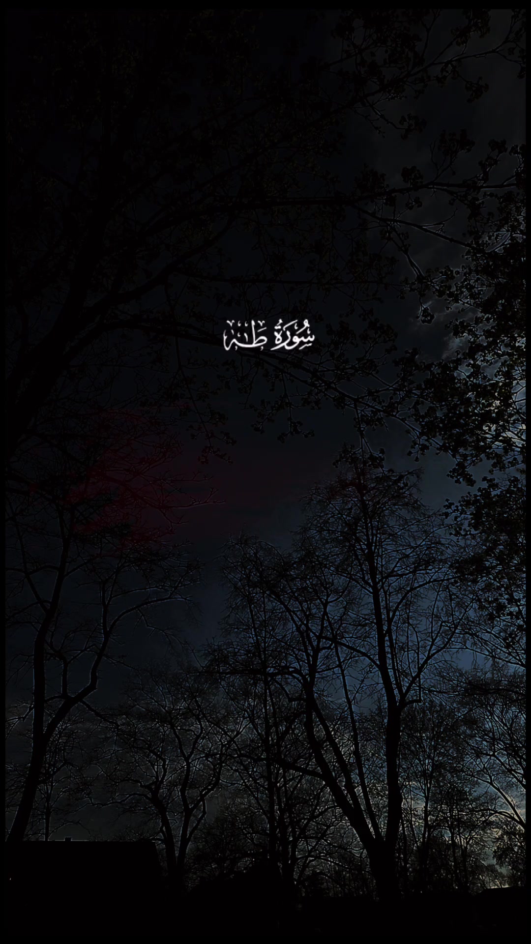 @🌸وصية الرسول🌸