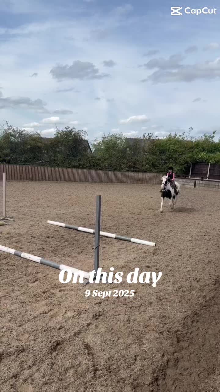 @LottiesHorseAdventures🦄🐴