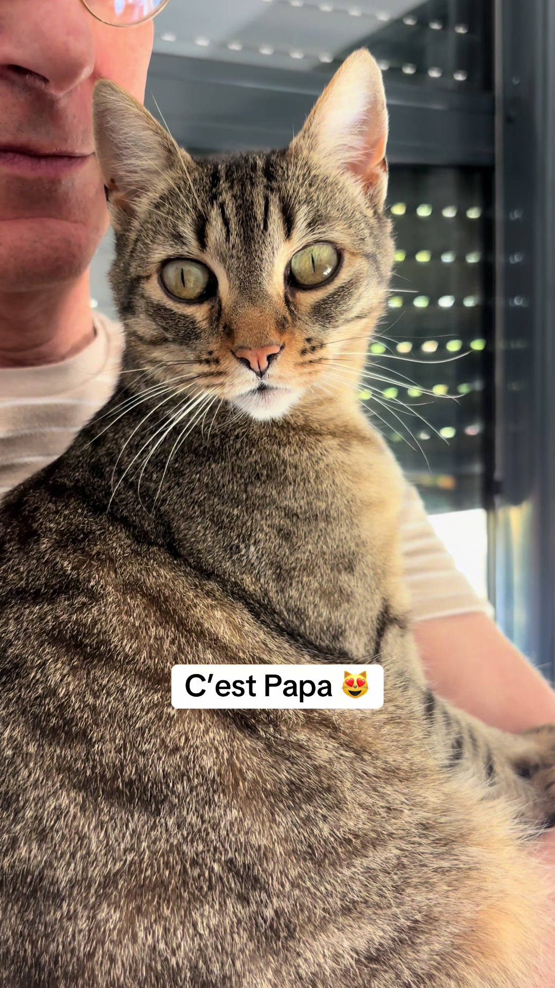@Bulle la chatte 🐈