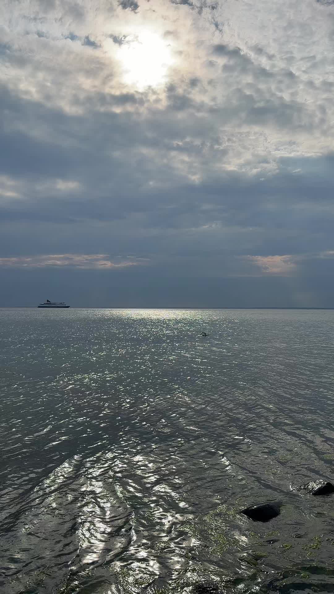 @𝗥𝗔𝗠𝗬𝟱𝟵𝟵
