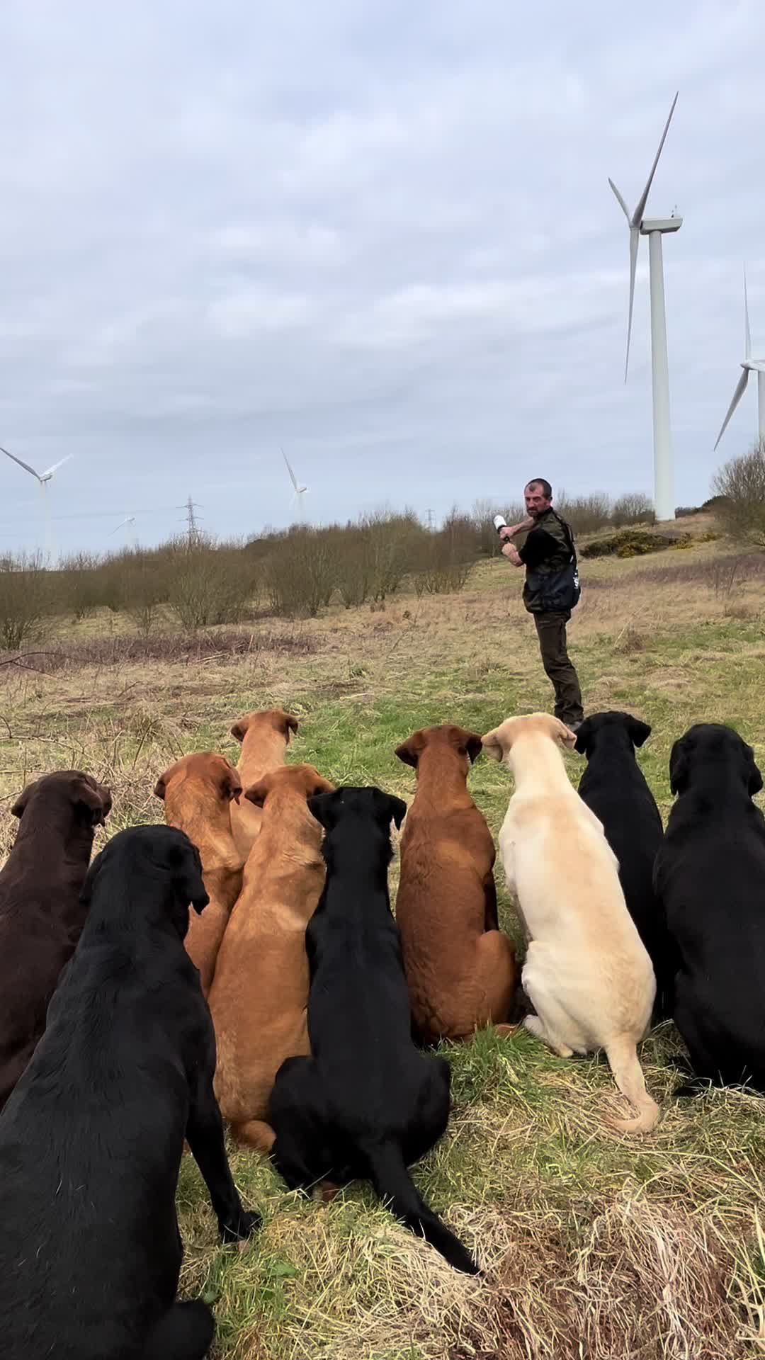@slingleygundogs