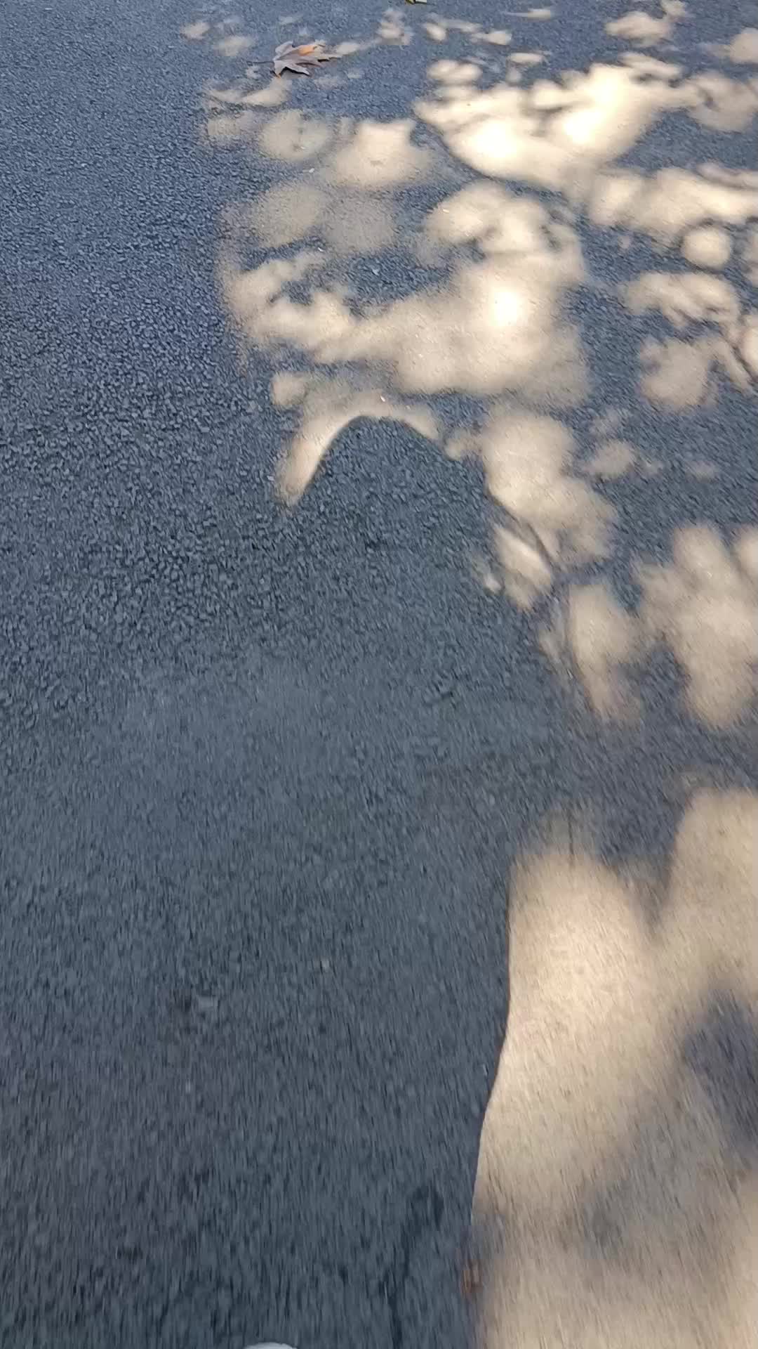 @🌙ka
