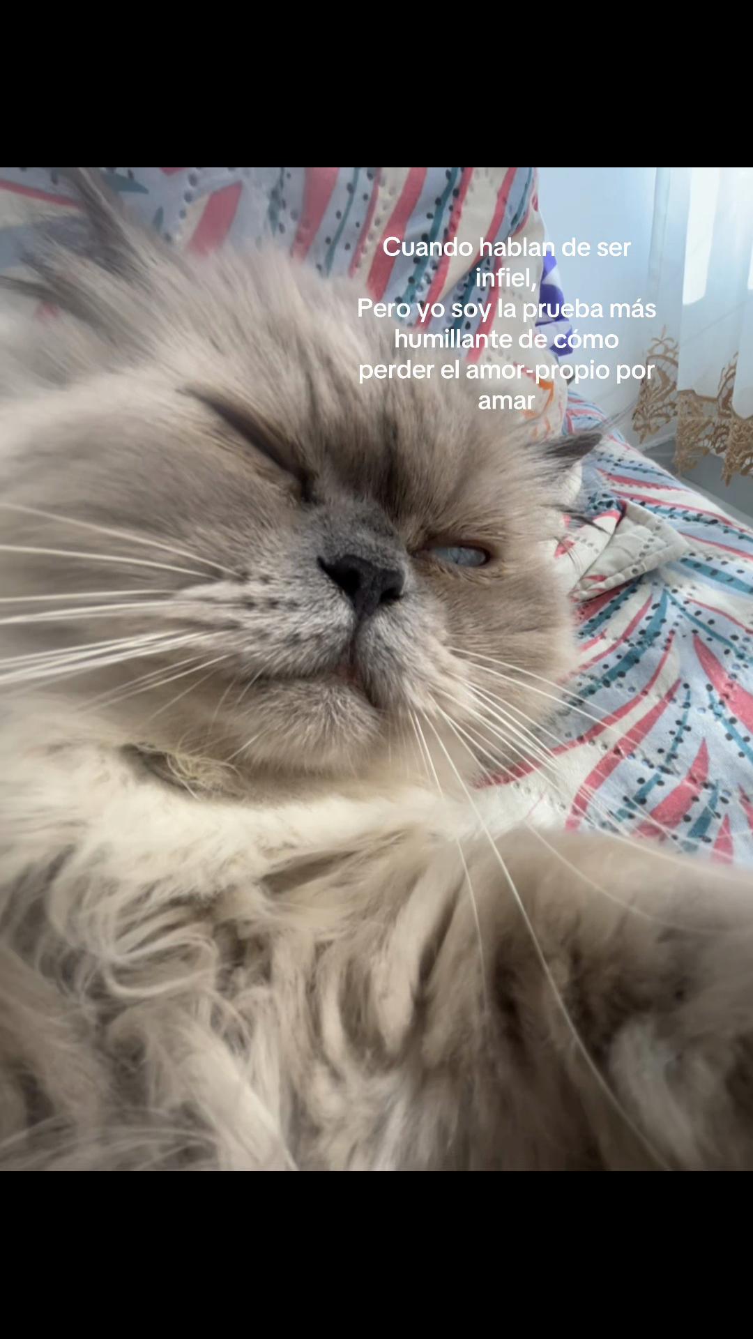 @⸎ɪsᴀᴀᴀ⁴⁴⁴☥♧