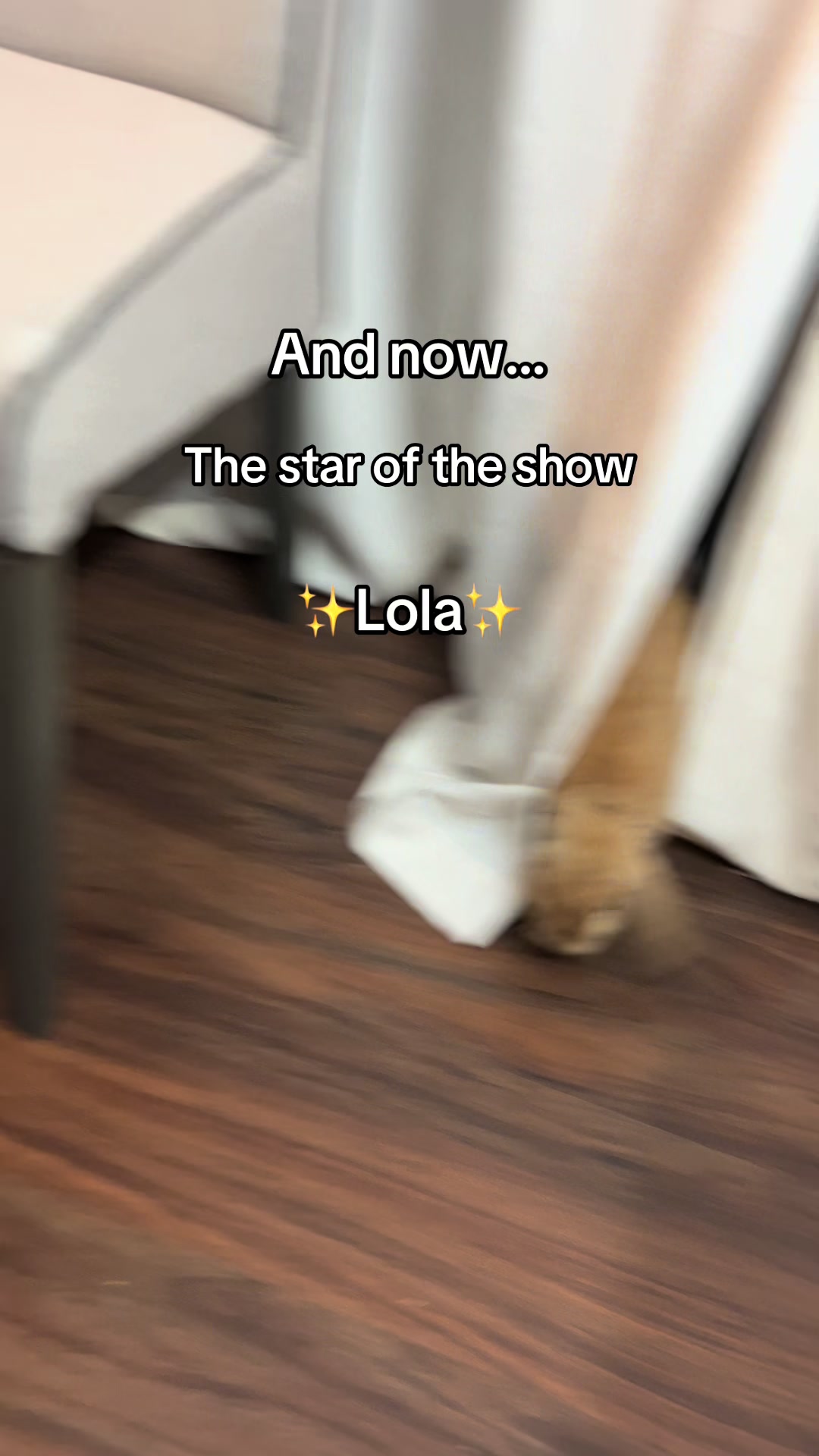 @goldenlolamola