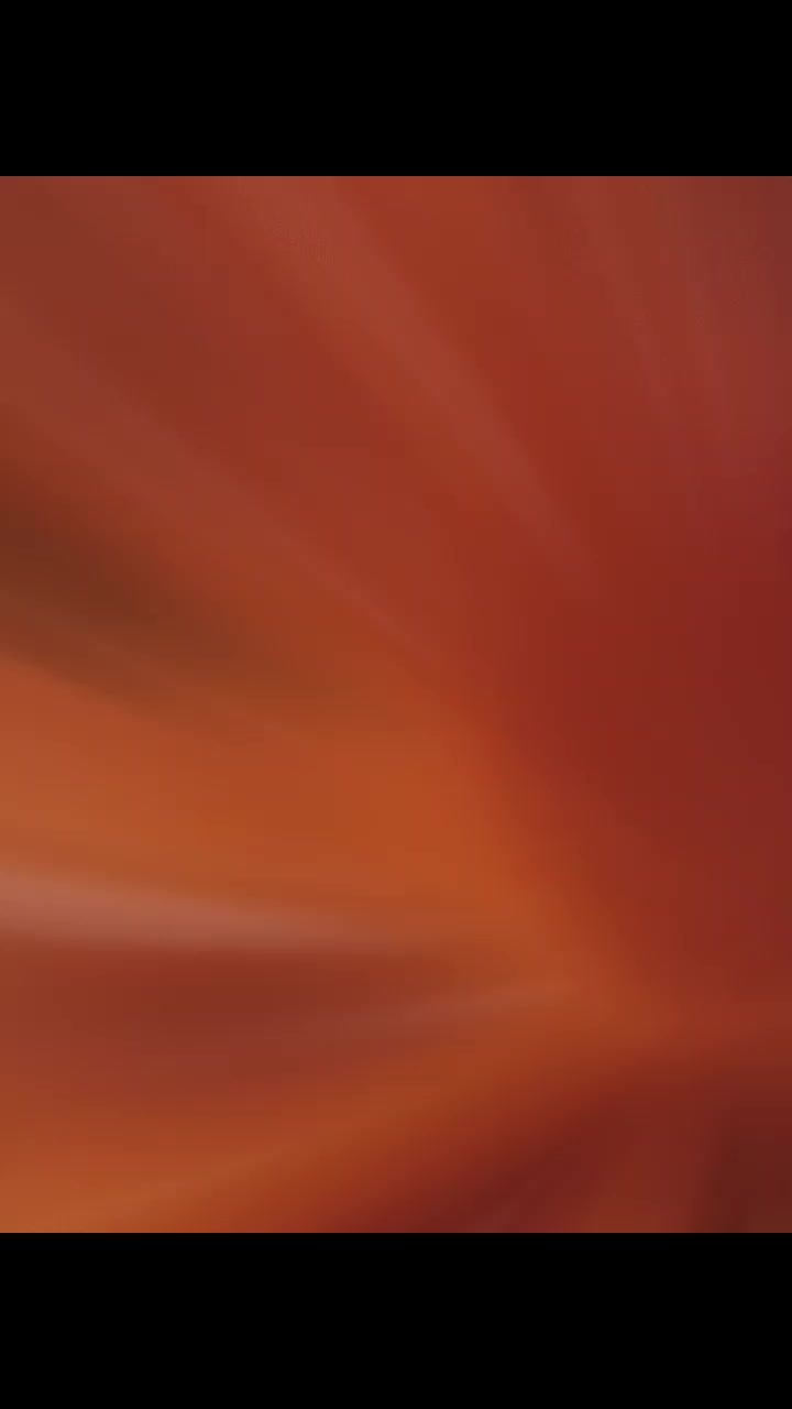 @thefreeroamer