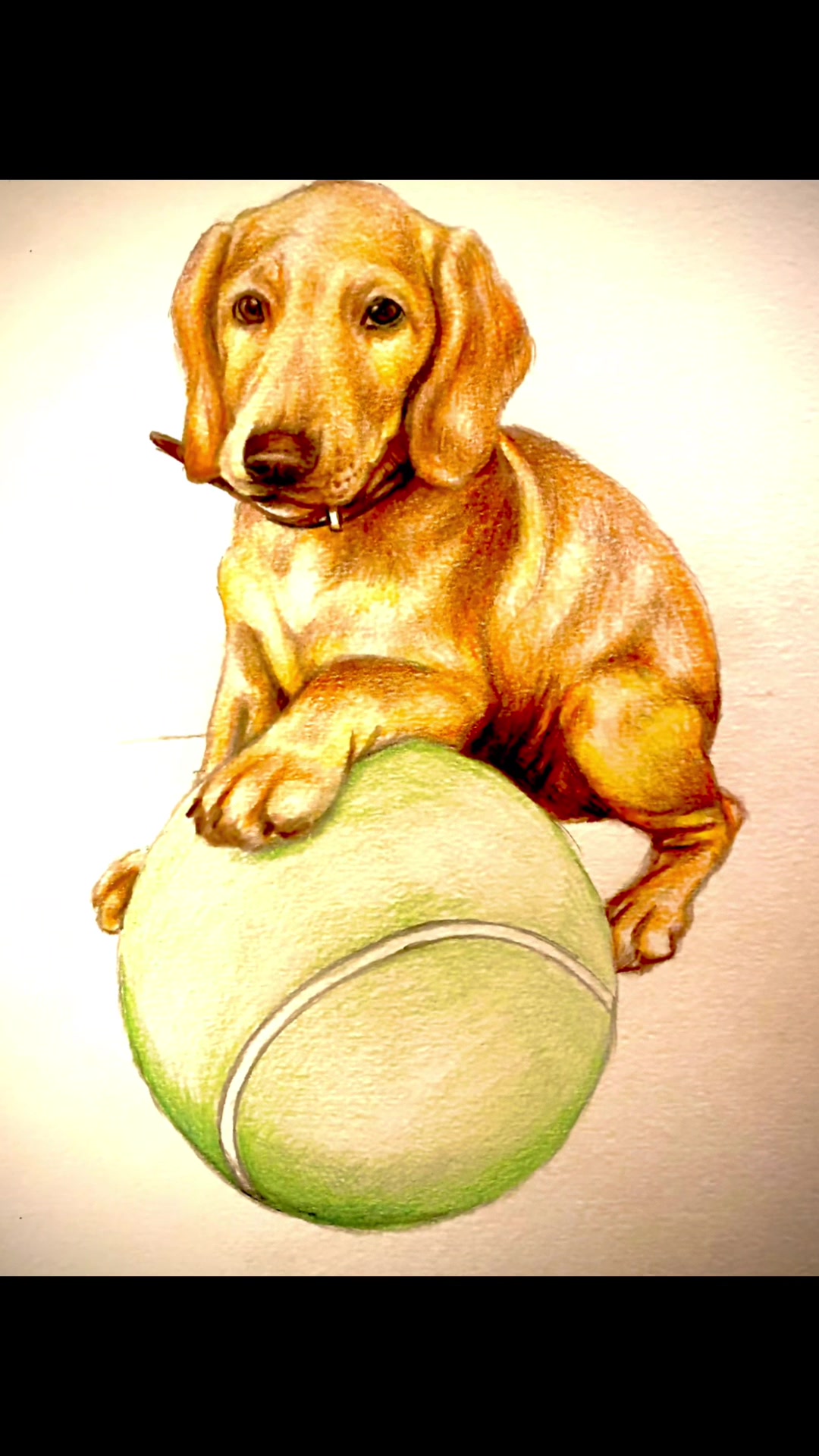@David Bell Art