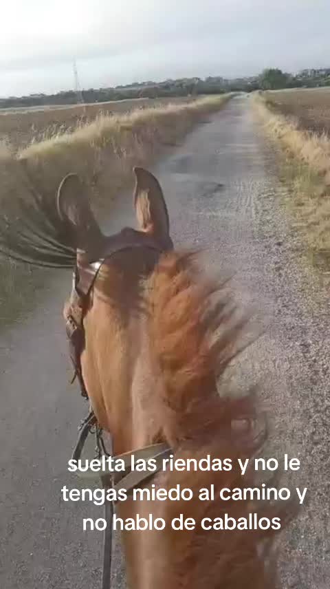 @AdrianS_M10