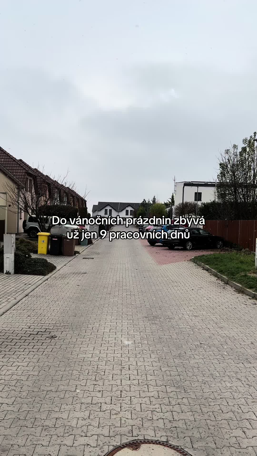 @prosteodpocty