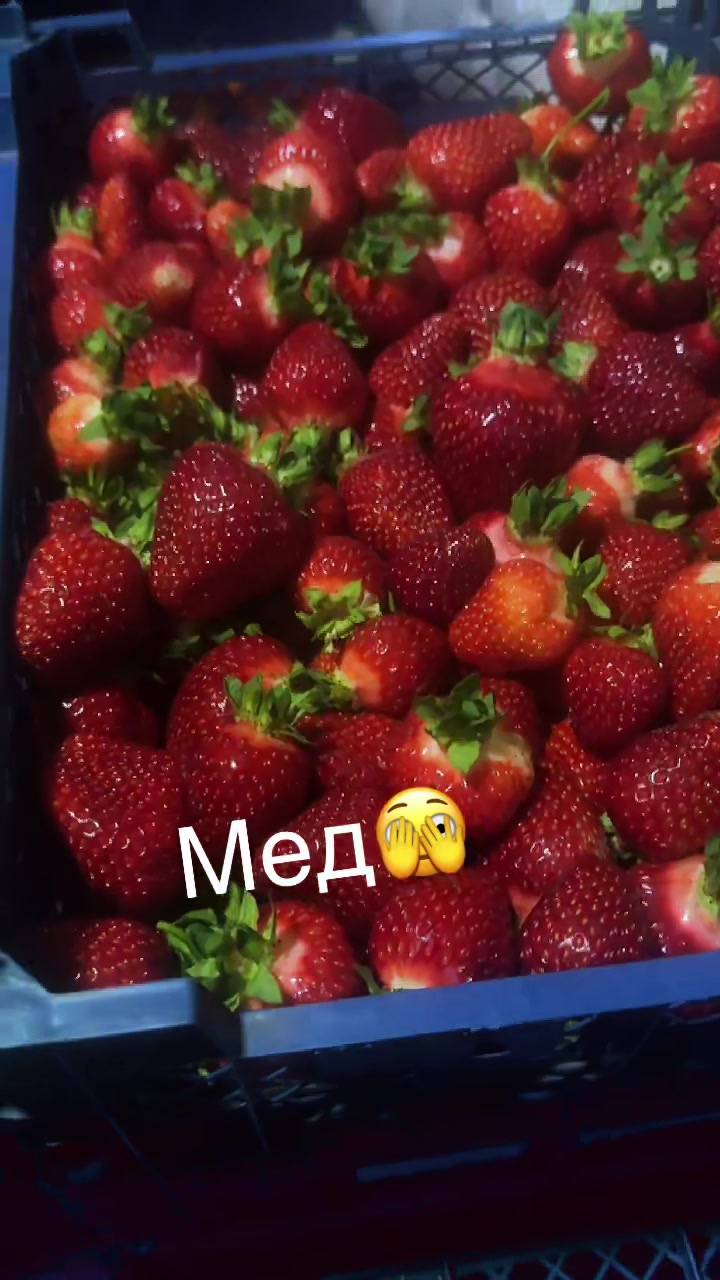 @Данута Манюк