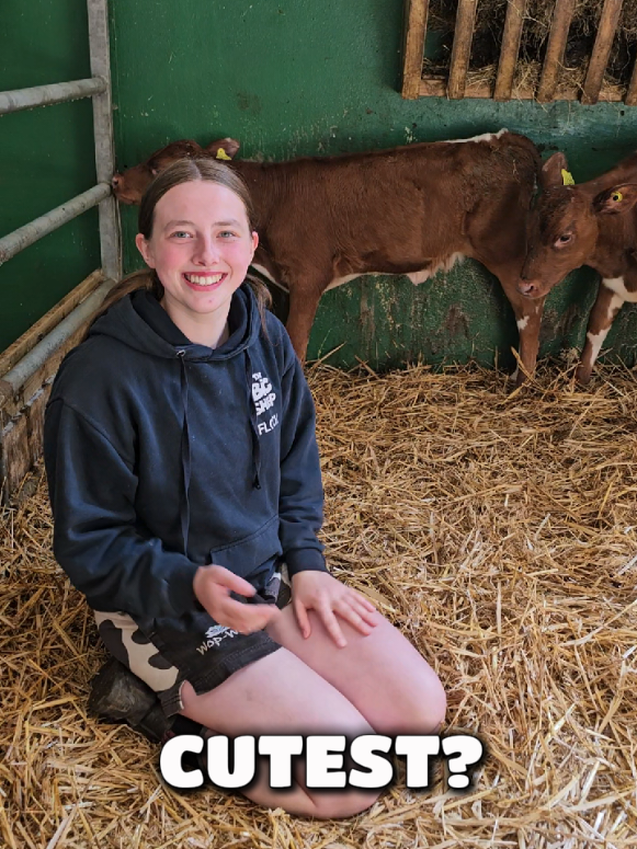 @The Big Sheep