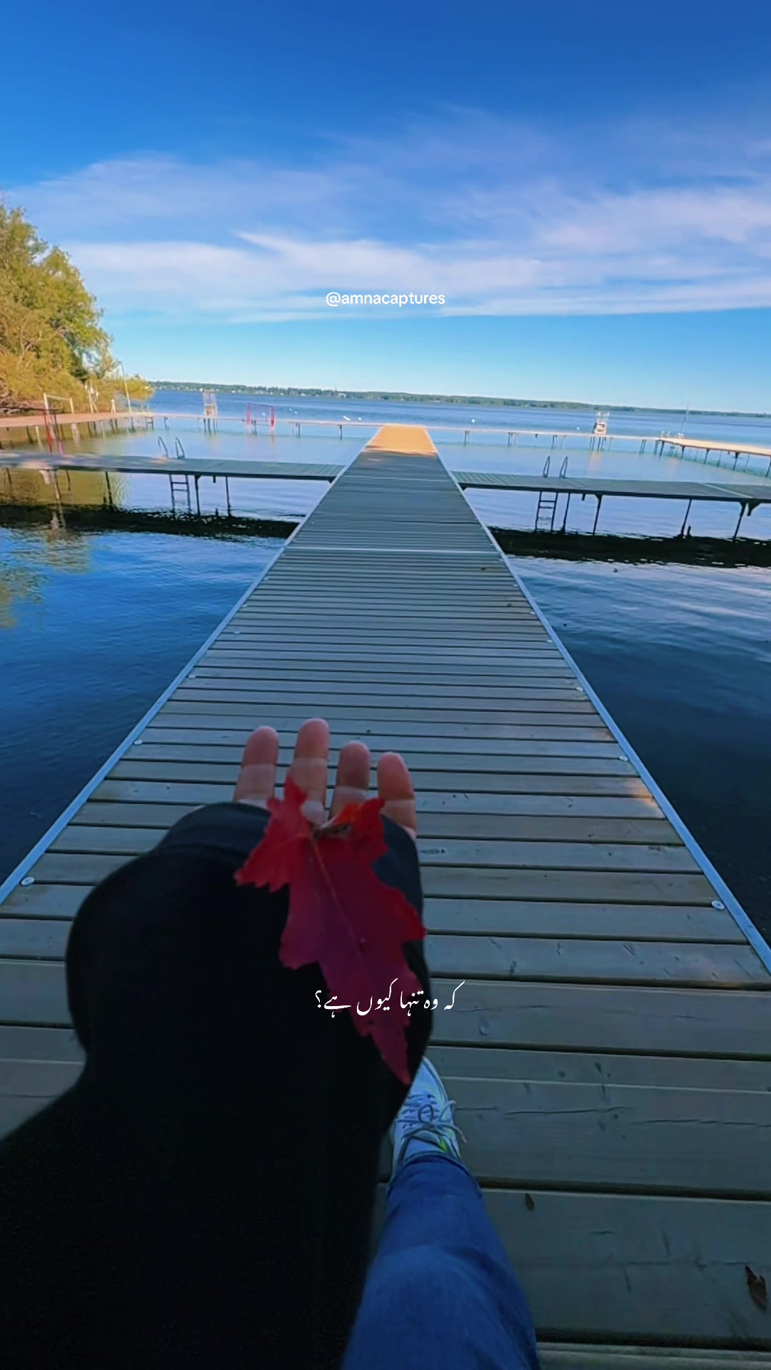@Nature lover  🇨🇦