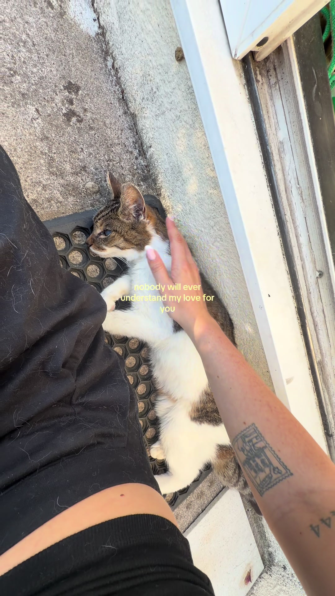 @tash ⋆.𖤓*