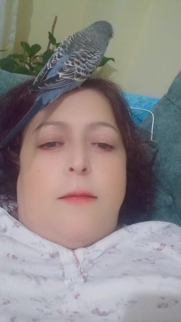 @Serpil Karaman