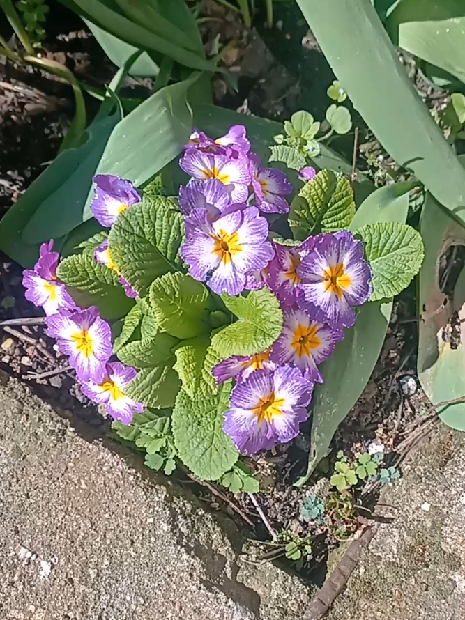 @Призрачка