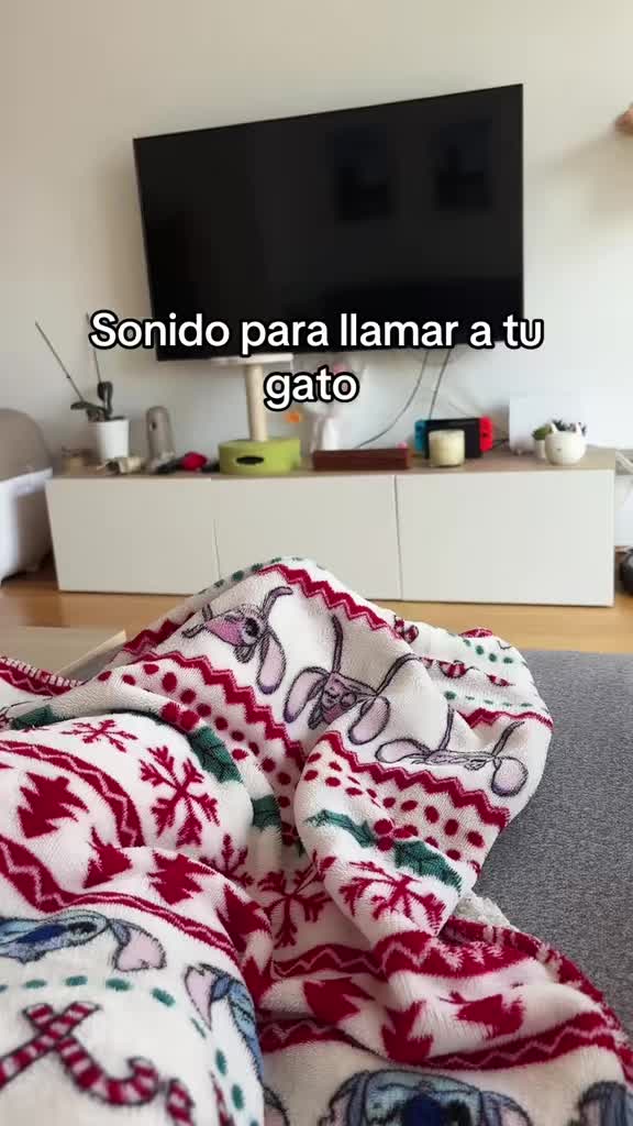 @- Alejandra  🐱💕