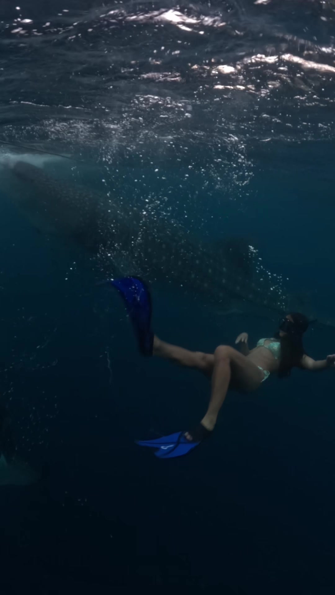 @Norah🪩🐋
