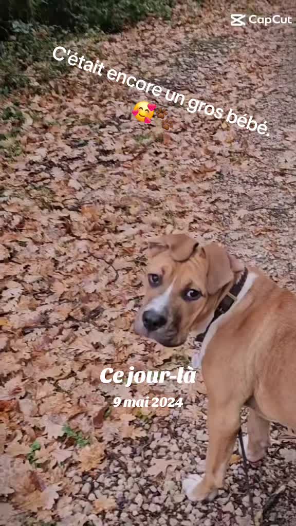 @flopy et Urion