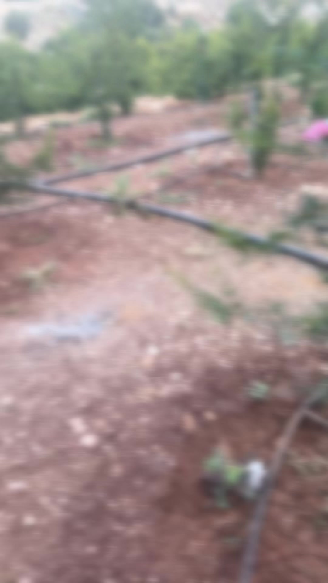@ابو جمال