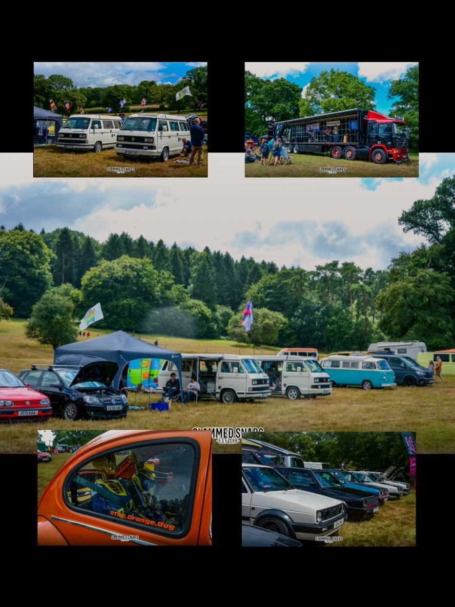 @Endless Summer VW Show
