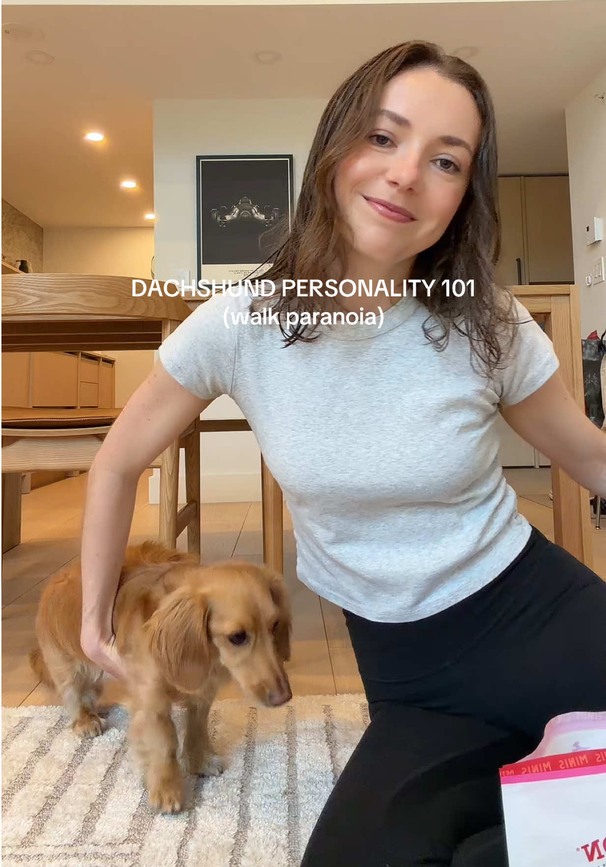 @cashewdachshund