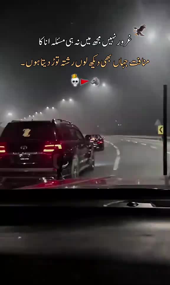 @⚘️ بجلی ☘️