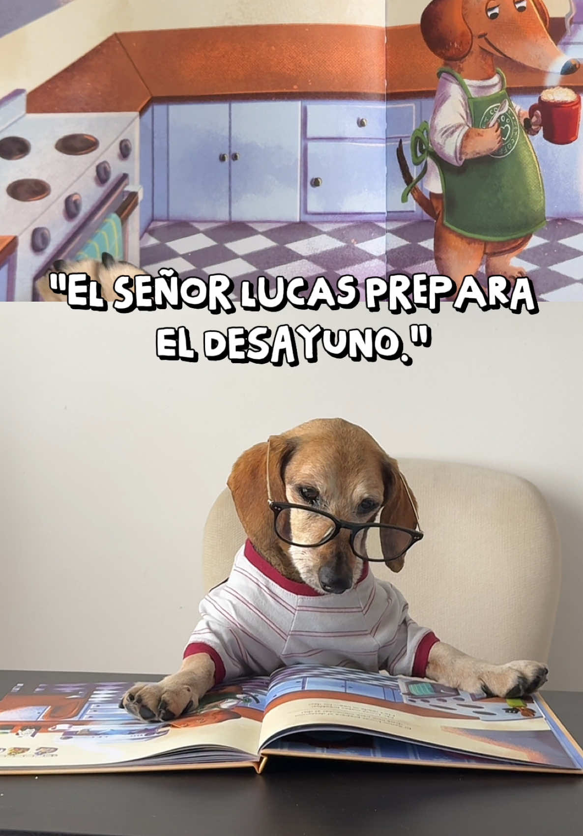 @Lucas The Dog