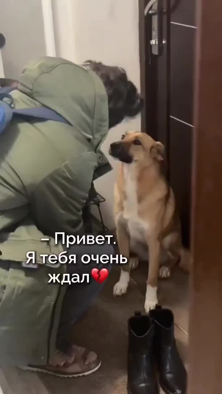 @Laimdota Spakovska