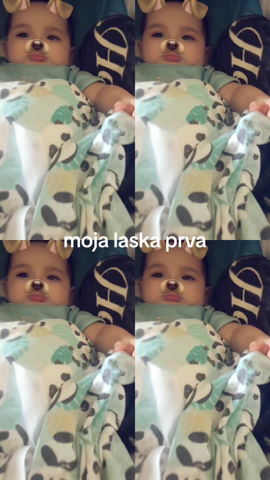 @holubova