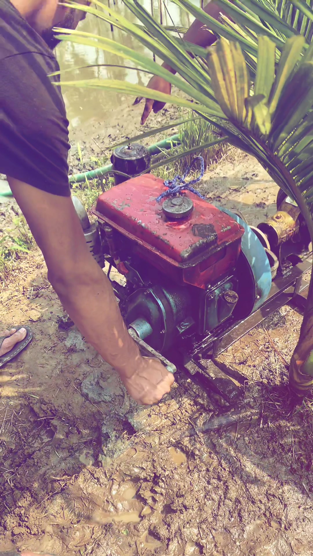 @Ahmed