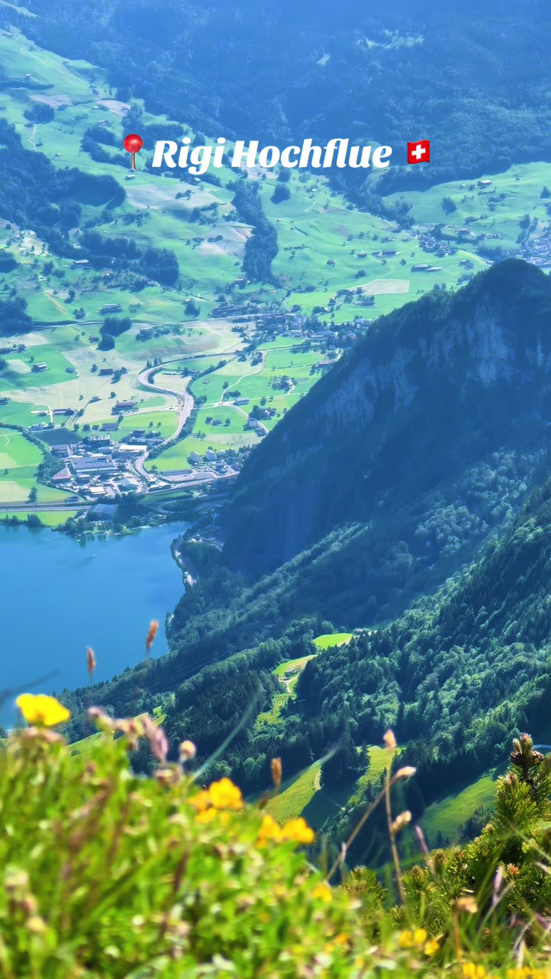 @swiss_alps