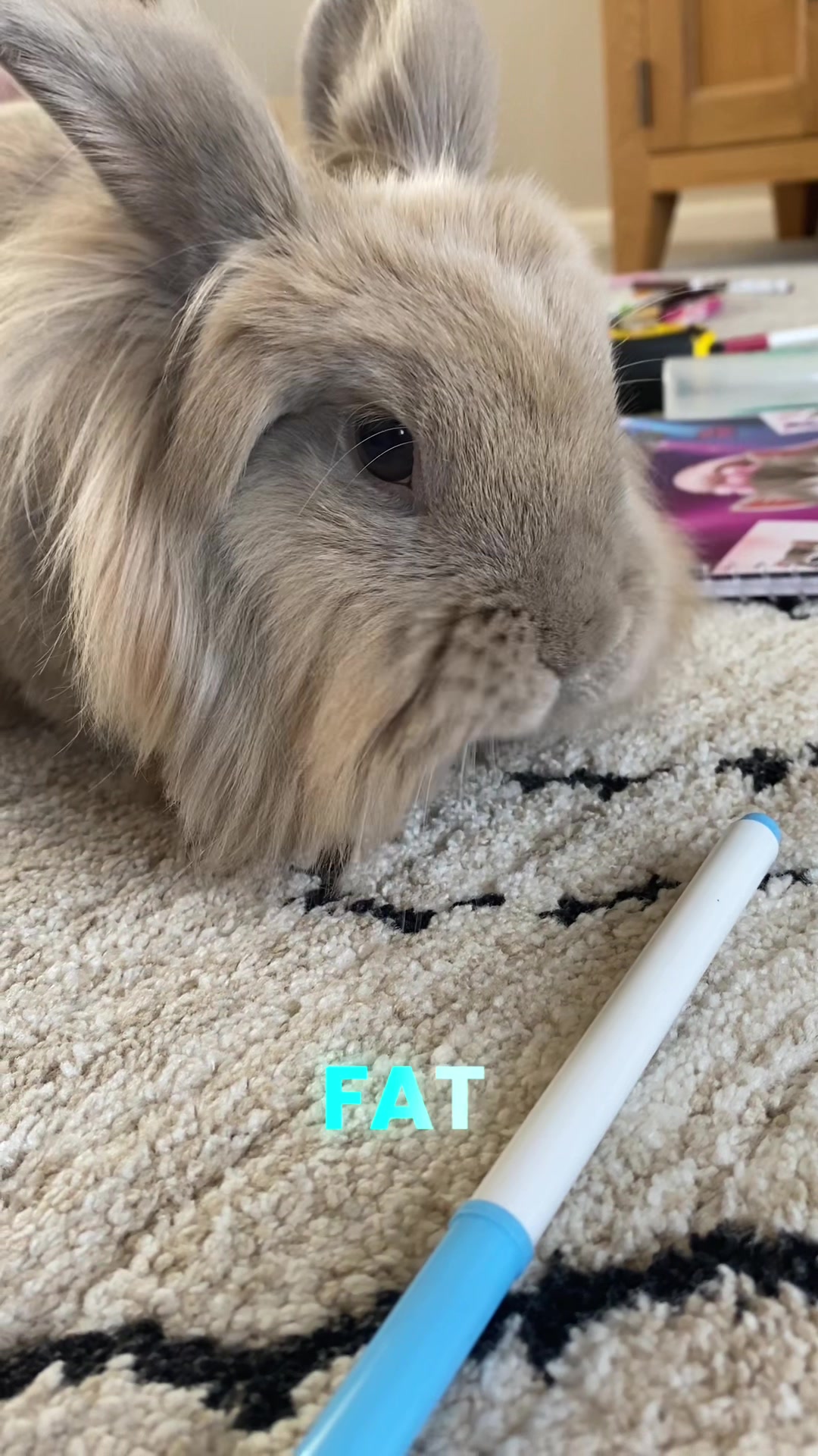 @Marmite🪽Toastie, Nala ♡