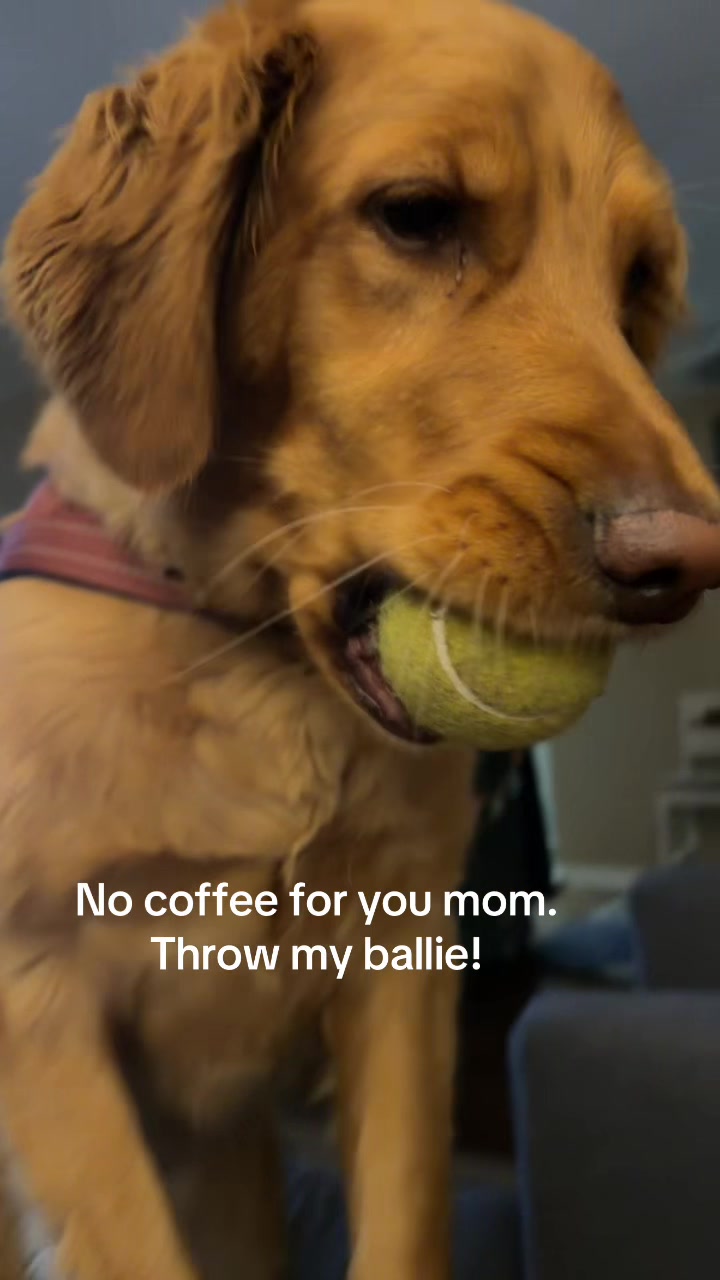 @Heather ❤️🐶