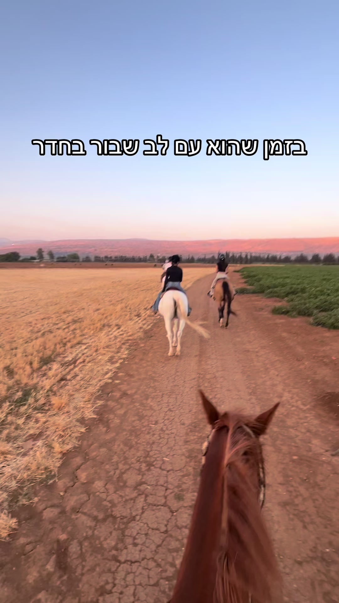 @Sharon Shekel🦶
