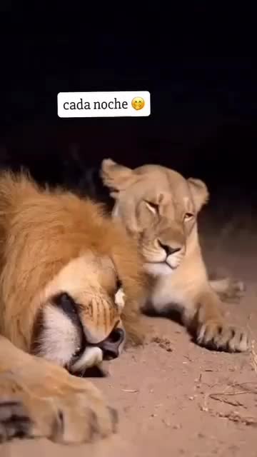 @Rosana Ramirez