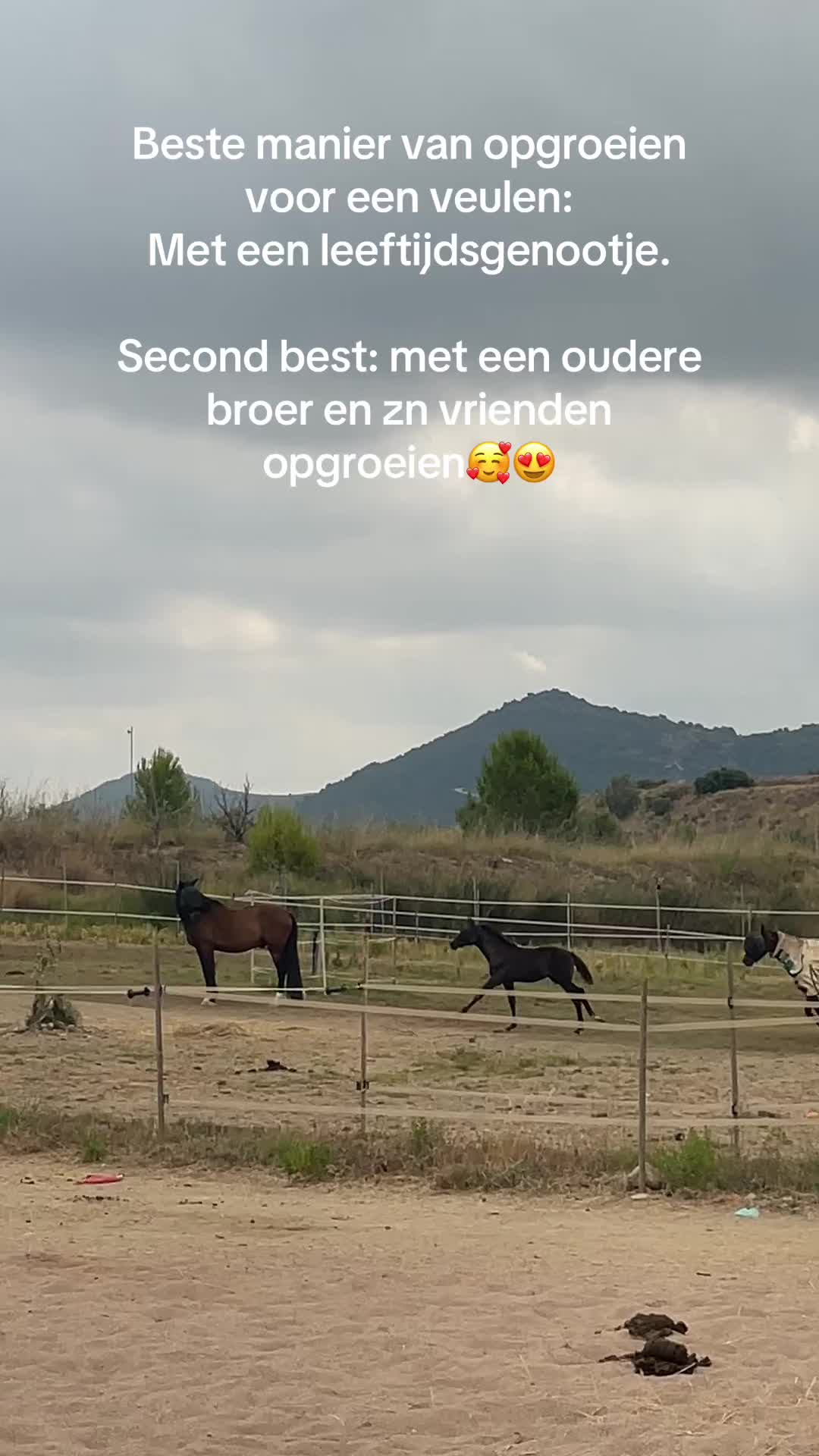 @Liesbeth-EquiViento🐴🇪🇸