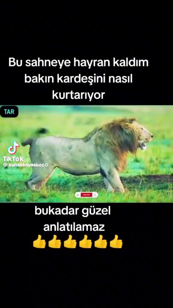 @๐ Bize_heryer_Ankara ๐