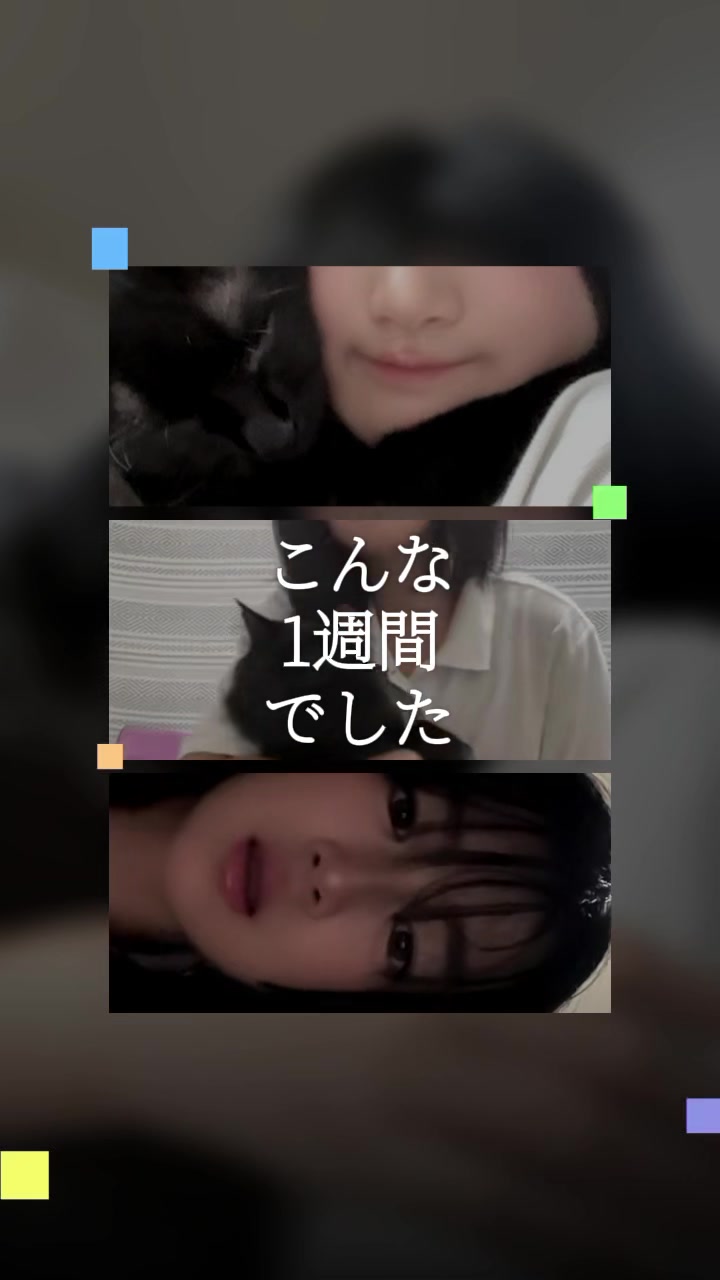 @あるさなちゃんねる