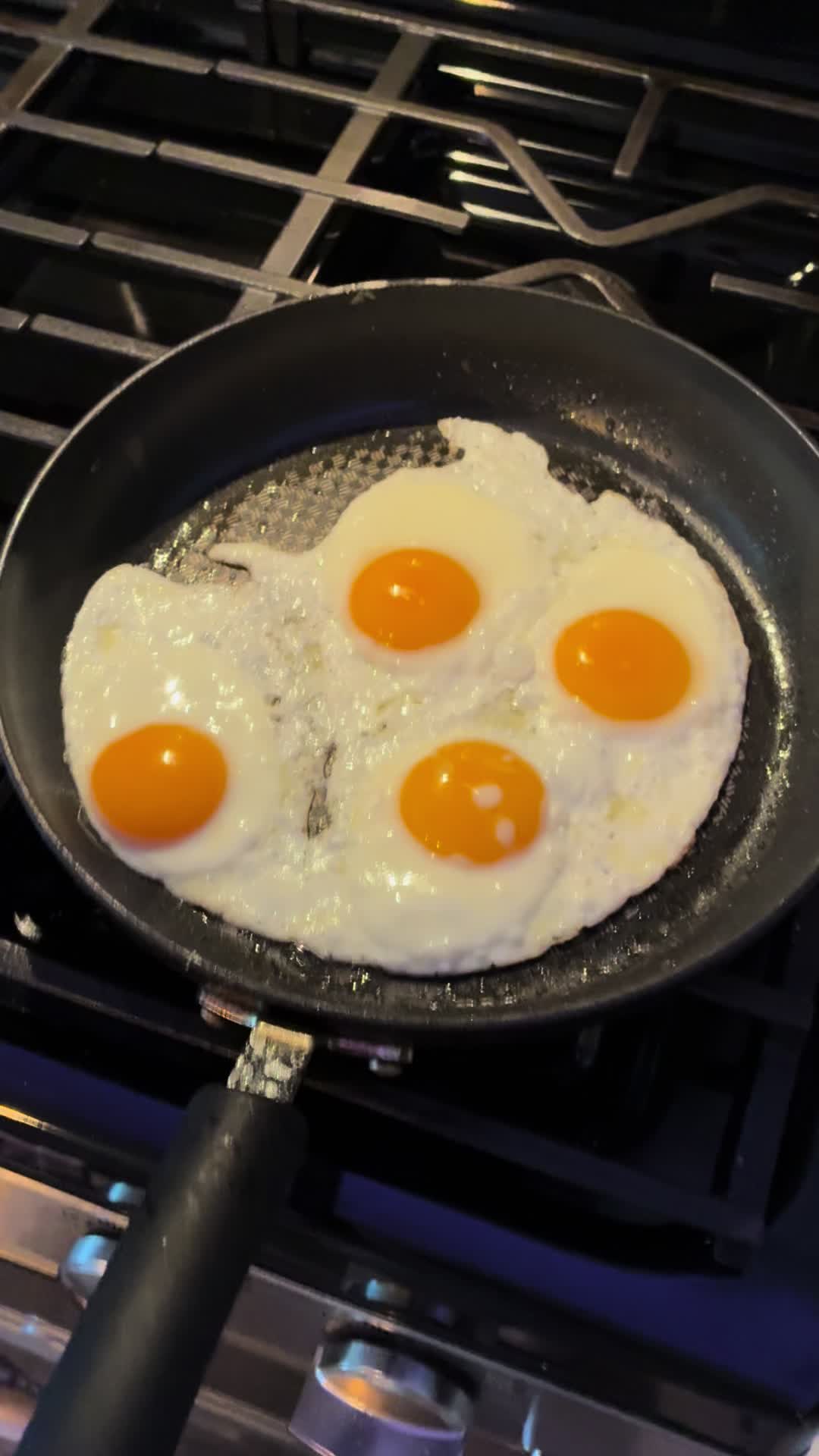 @Egg Sheeran