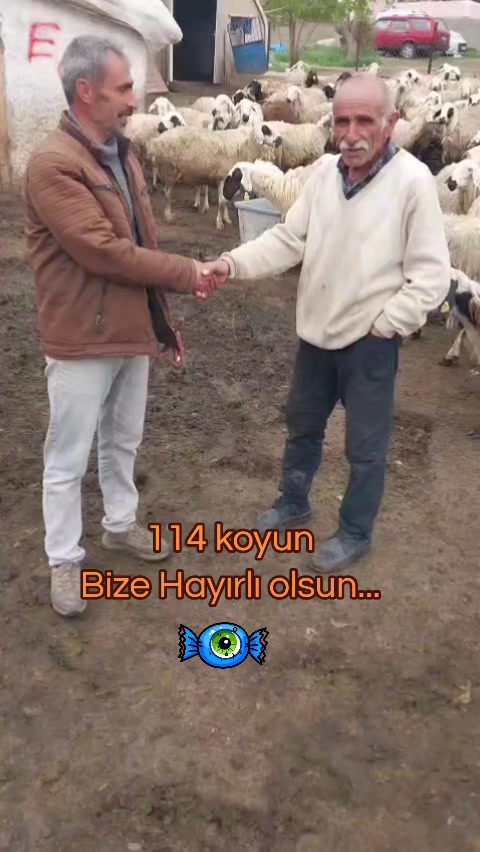 @✎﹏﹏𝐾𝑎𝑑𝑖𝑟 Ş𝑎ℎ&icirc;𝑛﹏﹏
